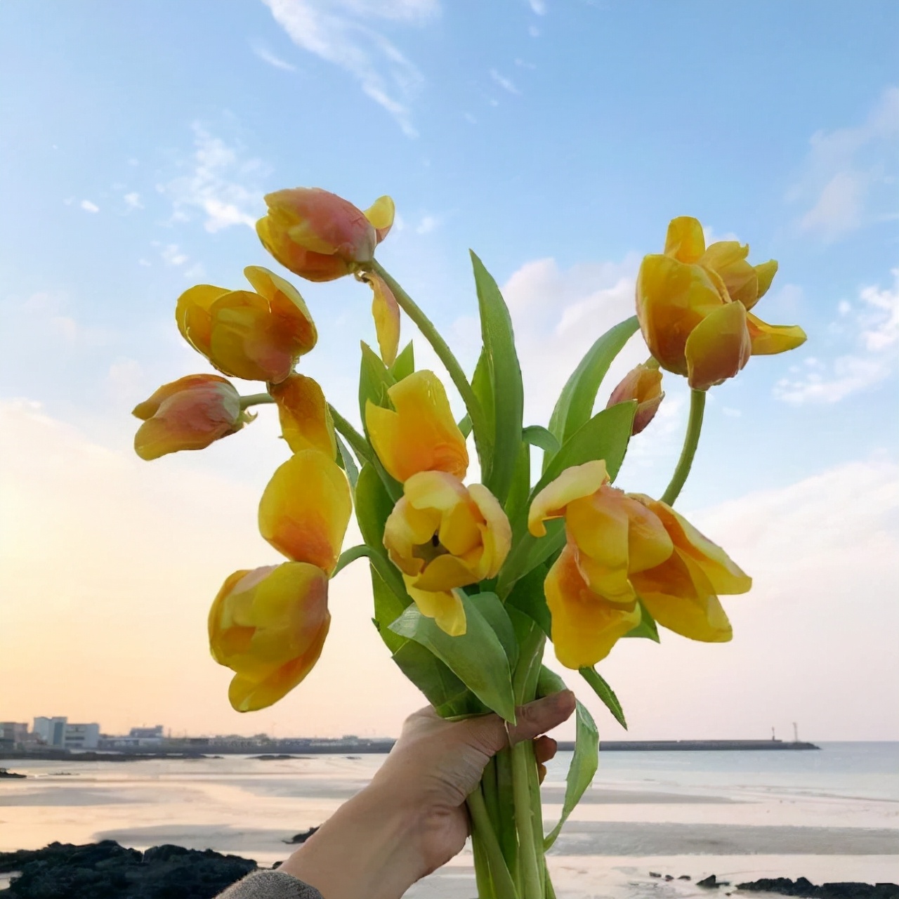 有关治愈心灵的晚安说说赏析（希望如火，失望如烟）