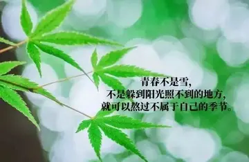 幼儿教师人生格言深度座右铭（分享20句教师人生格言个人箴言一句话）