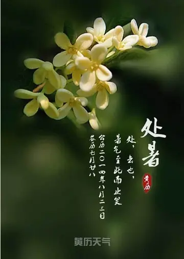 今日处暑节气早安心情说说及语录（处暑节气早安心语录句子）