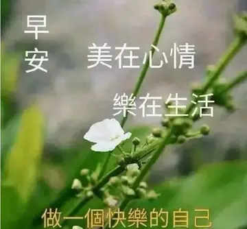 九月白露温馨文艺的秋天唯美说说（白露文艺的秋日暖阳的文案）