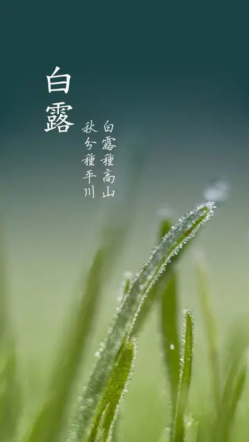 九月白露温馨文艺的秋天美好说说（白露节气的说说秋意浓浓的优美句子）