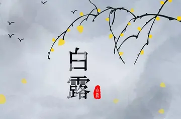 白露节气早安祝福语朋友圈说说（白露早安朋友圈励志语录）