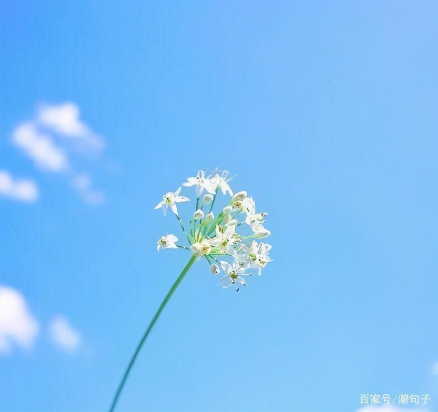 表达充满哲理的人生智慧语录（能力不大，欲望就不要太大）