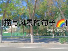 有关写景的简短优美句子摘抄（唯美的写景语句赏析）