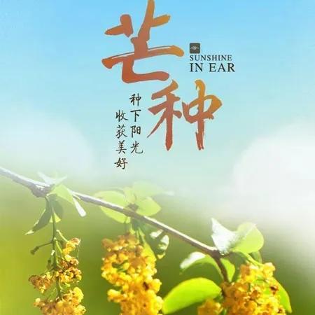 芒种经典创意祝福语推荐（思念如梦，祝福轻送）