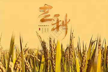 适合芒种发朋友圈的唯美文案（芒种到了,祝你幸福）