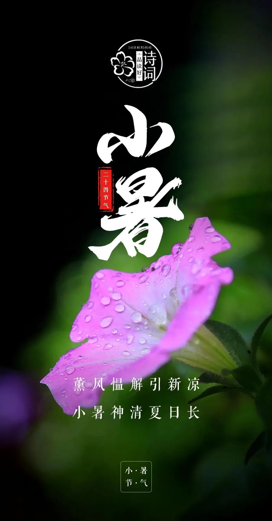 适合小暑节气的诗句（有关小暑的经典诗词）