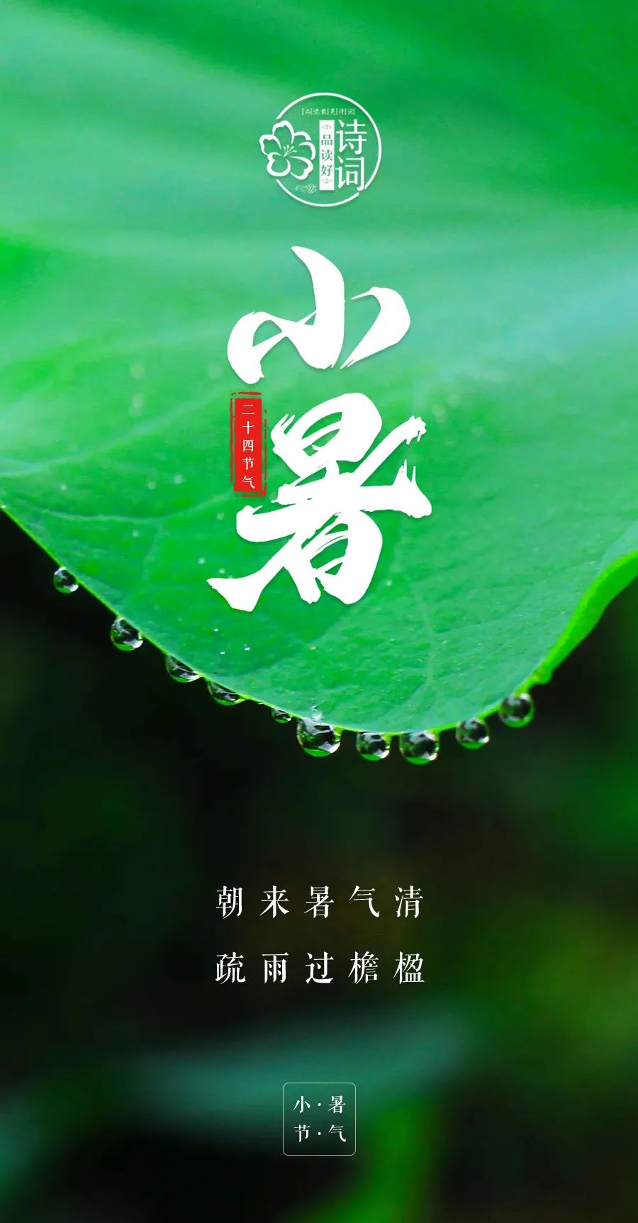 适合小暑节气的诗句（有关小暑的经典诗词）