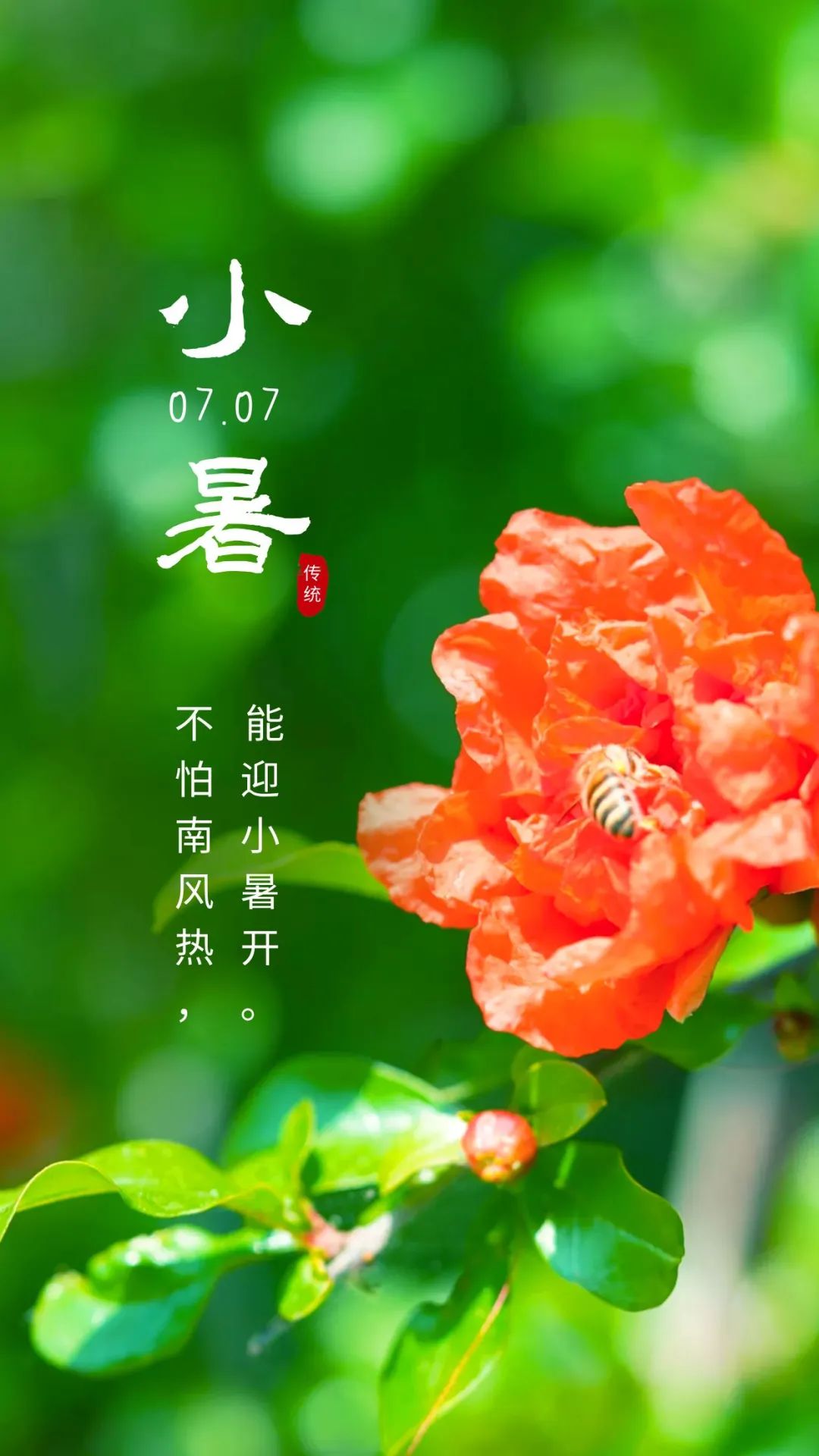 表达小暑节气文案祝福语（小暑正能量唯美语录句子）