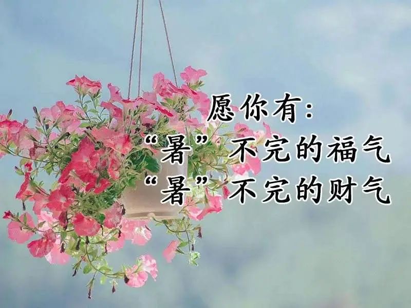 表达小暑节气文案祝福语（小暑正能量唯美语录句子）