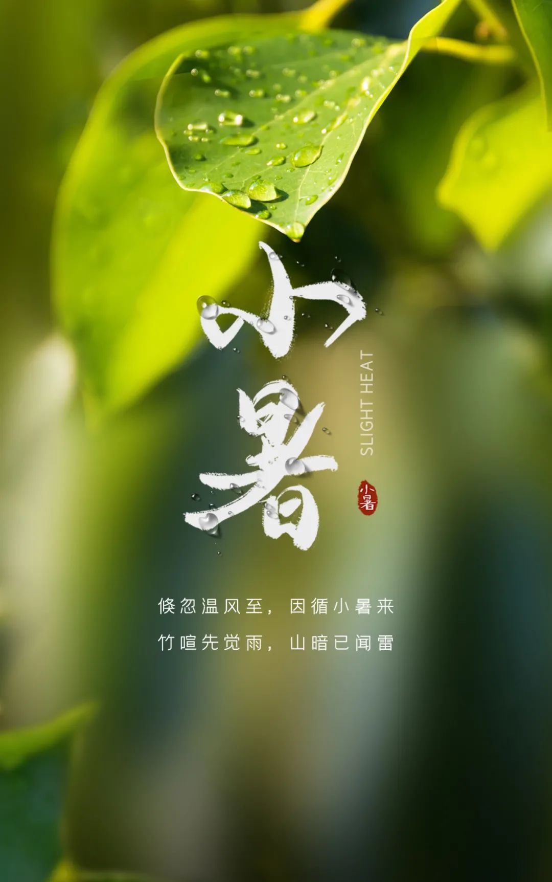 表达小暑节气文案祝福语（小暑正能量唯美语录句子）