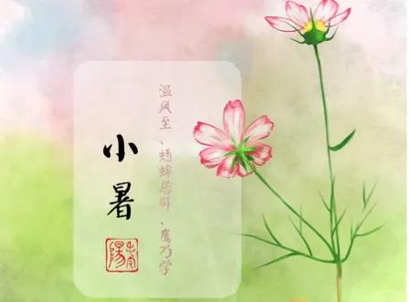 表达小暑节气唯美句子文案（小暑祝福简短问候语）