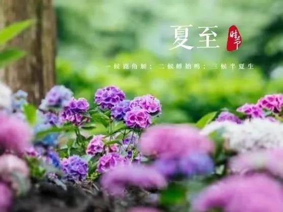 夏至节气简短祝福语句子（文案精选夏至的走心文案说说）