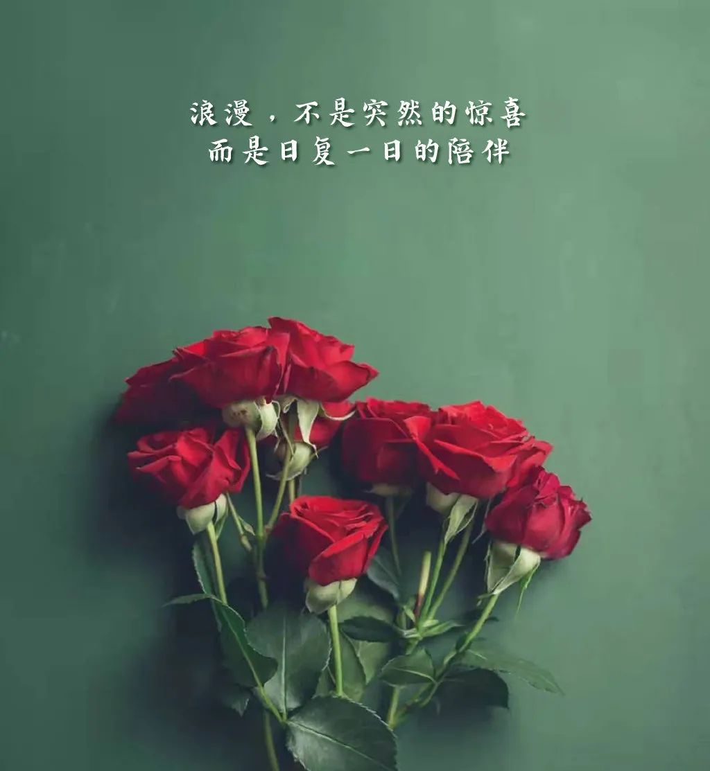 情人节唯美经典语录短句（情人节经典短句）