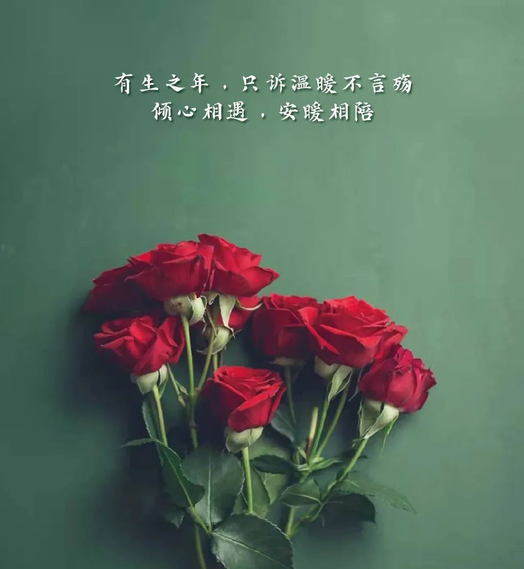 情人节唯美经典语录短句（情人节经典短句）