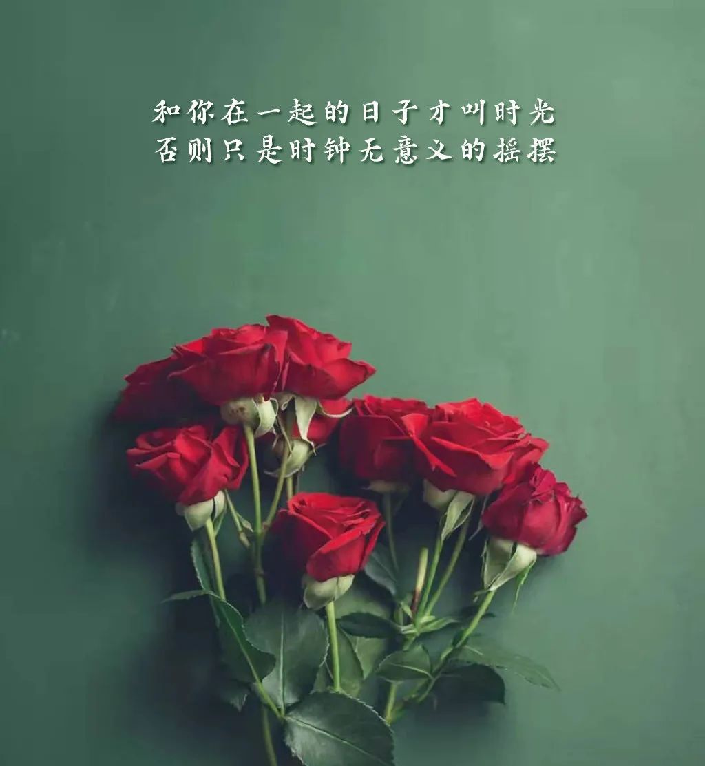 情人节唯美经典语录短句（情人节经典短句）