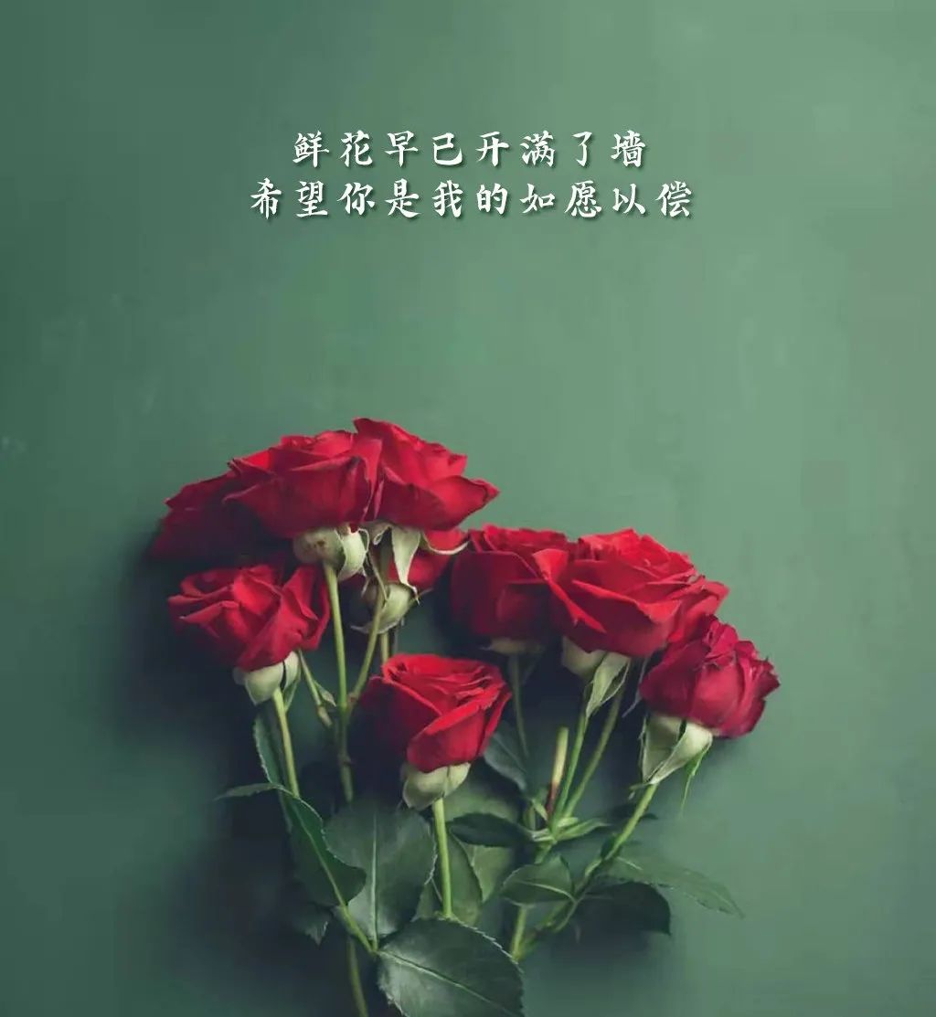 情人节唯美经典语录短句（情人节经典短句）