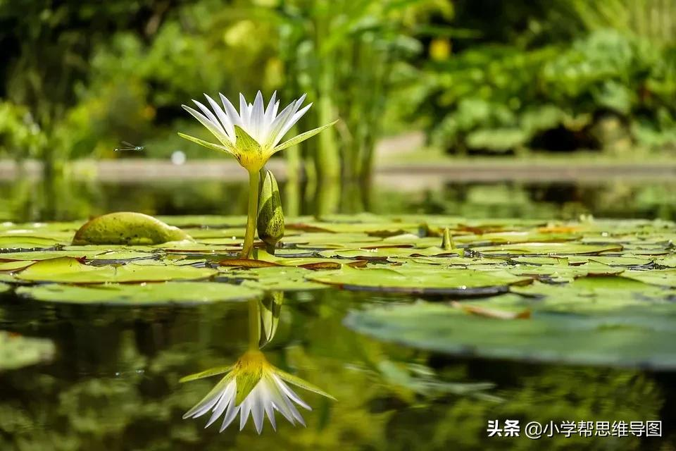 我的校园生活600字优秀作文（突破自我的惊喜）