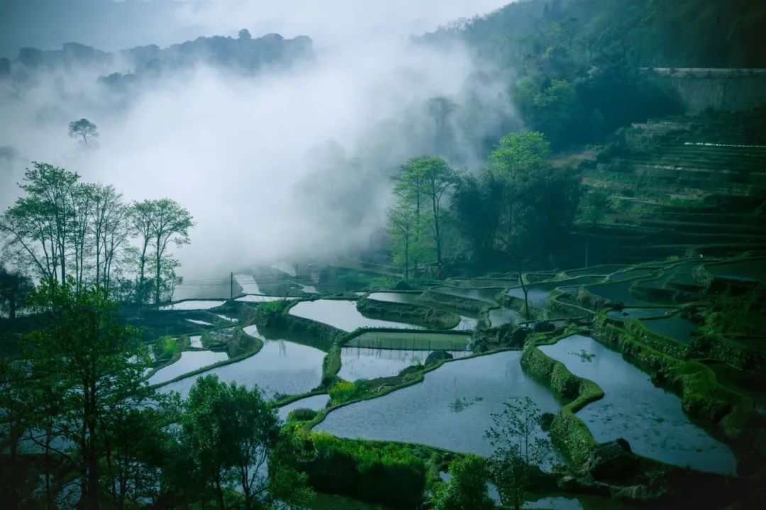 有关田园生活的古诗句鉴赏（唯美山水田园诗）