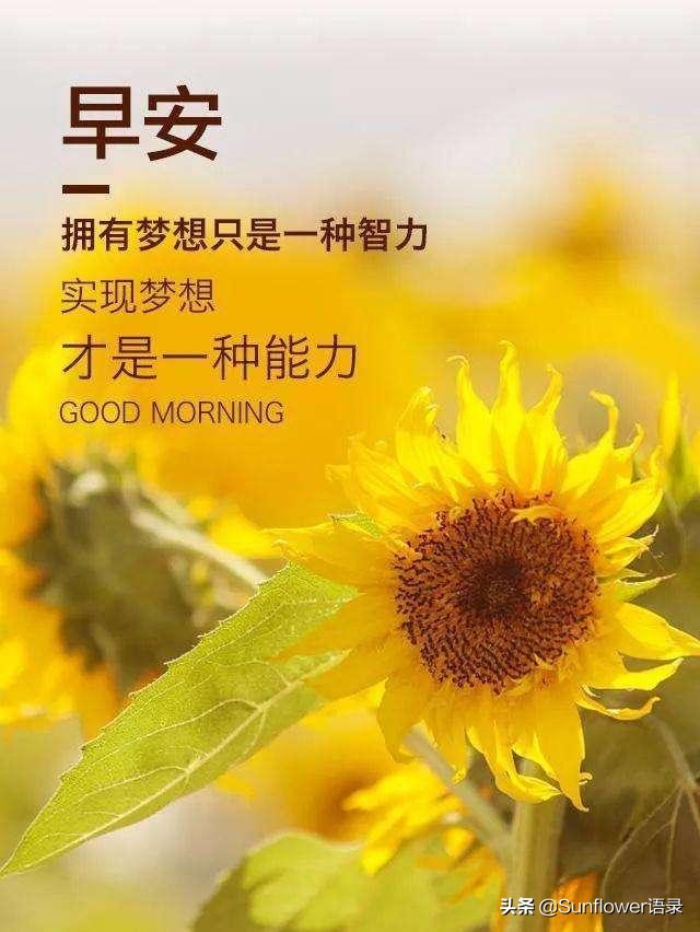 淡然随心的励志早安心语（心存感恩之心，珍惜现在拥有的）