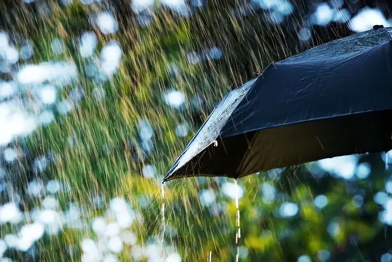 描述风大雨大的诗句鉴赏（风大雨大的古诗句）