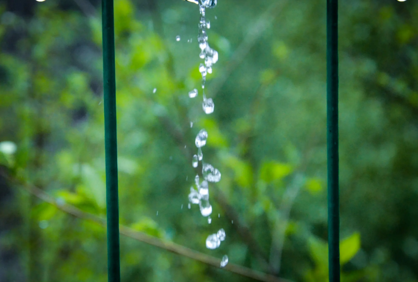 描述风大雨大的诗句鉴赏（风大雨大的古诗句）