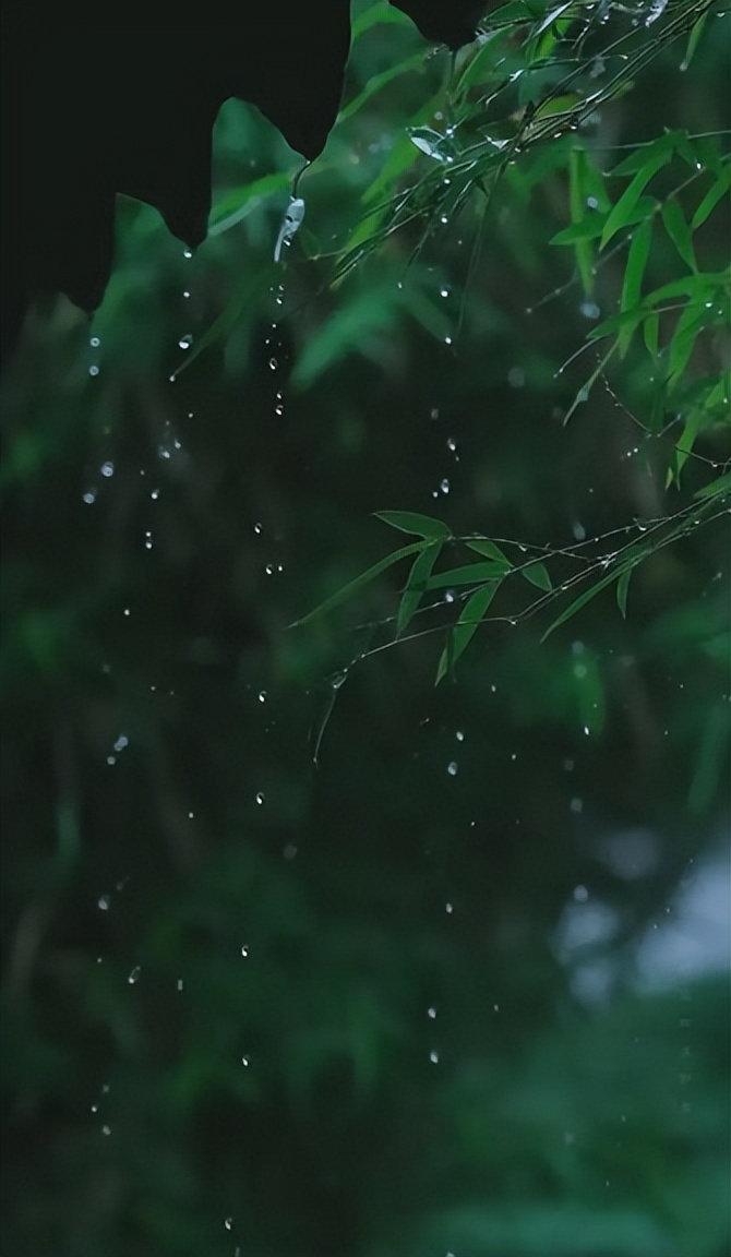 描述风大雨大的诗句鉴赏（风大雨大的古诗句）