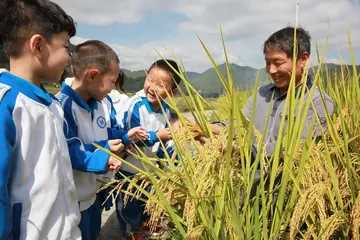 2022俭以养德院校节约粮食活动倡议书范文（科学储粮减损增效学生节粮倡议书范例）