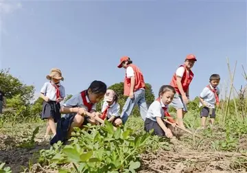 2022俭以养德院校节约粮食活动倡议书范文（科学储粮减损增效学生节粮倡议书范例）