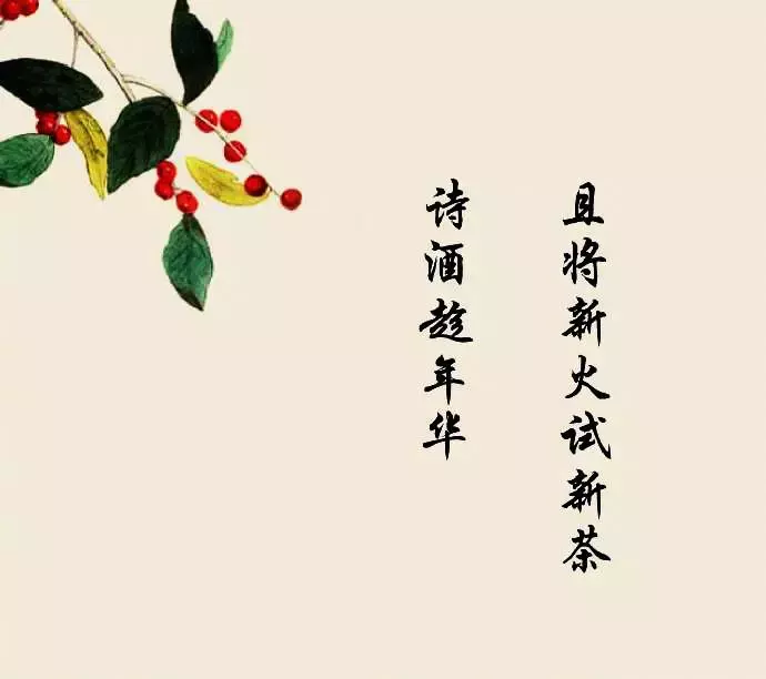 描写梅花的古风唯美诗句（诗境优美的古诗句）