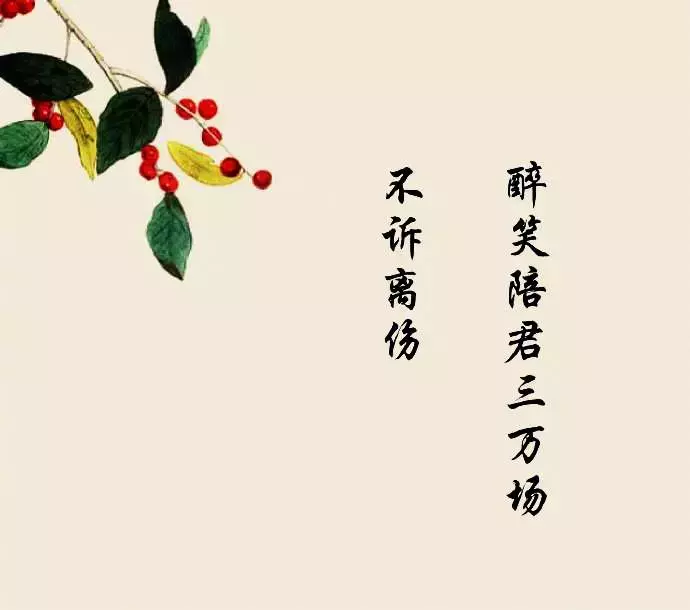 描写梅花的古风唯美诗句（诗境优美的古诗句）