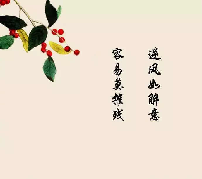 描写梅花的古风唯美诗句（诗境优美的古诗句）