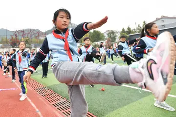 2022校园武术特色形成主题活动方案模板（学校推动武术文化教育策划方案范本）