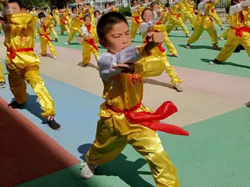 2022以武强身学校武术学习活动总结模板（武术进校园教学理论指导工作总结范本）