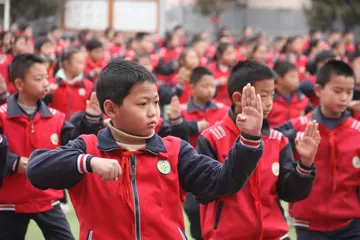 2022以武强身学校武术学习活动总结模板（武术进校园教学理论指导工作总结范本）