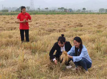 2022大学生***工作心得体会及目的（大学生***实践学习心得感悟范文）