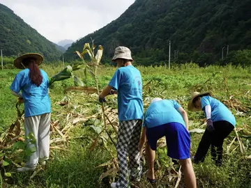 2022大学生***工作心得体会及目的（大学生***实践学习心得感悟范文）