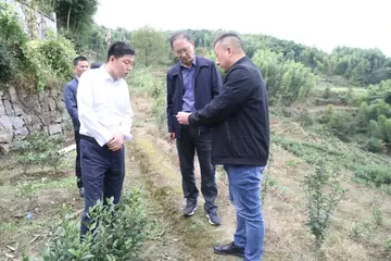 2022美好建设***个人年末总结范文（风貌整治***个人年终总结范例）