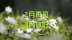 分享三月你好二月再见文案（适合朋友圈发的唯美祝福句子）