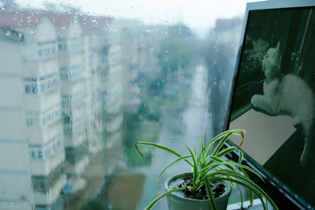 夏天描写雨的乡情散文（关于春雨的散文随笔）