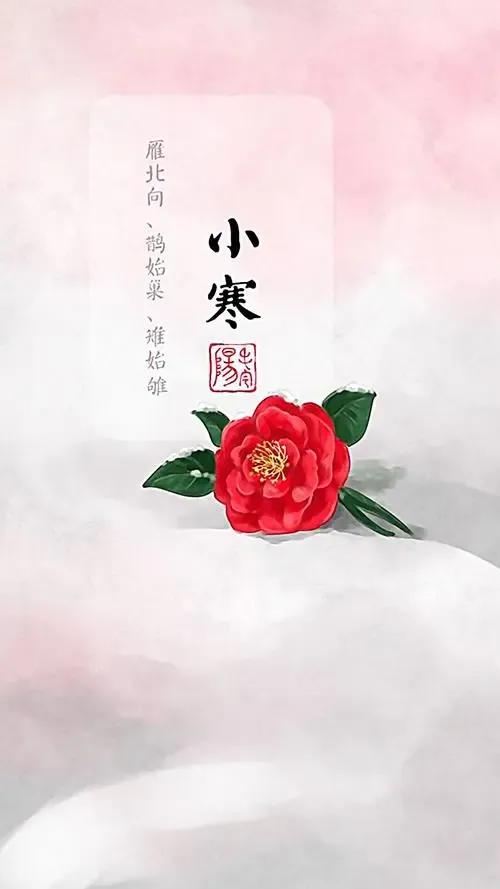 精选小寒节气祝福语（唯美特别暖心的问候句子大全）