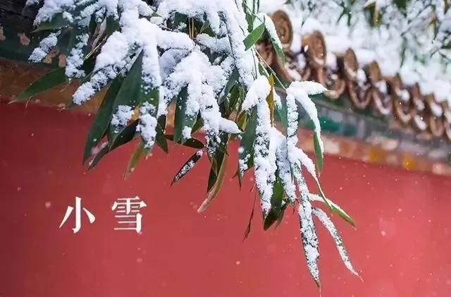 精选小雪节气祝福语唯美独特句子（关于小雪节气的祝福语问候）