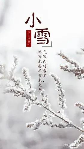 精选小雪节气祝福语唯美独特句子（关于小雪节气的祝福语问候）