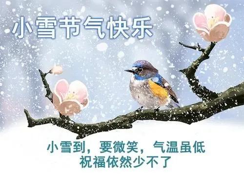 精选小雪节气祝福语唯美独特句子（关于小雪节气的祝福语问候）