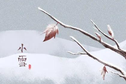 精选小雪节气祝福语唯美独特句子（关于小雪节气的祝福语问候）