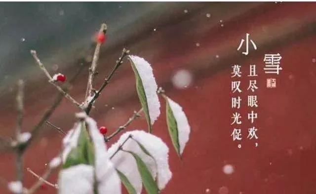 精选小雪节气祝福语唯美独特句子（关于小雪节气的祝福语问候）