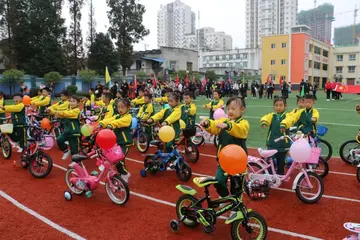 2022体育健将幼儿园运动会活动方案及总结（打破常规幼儿园校运会实施方案及简报）