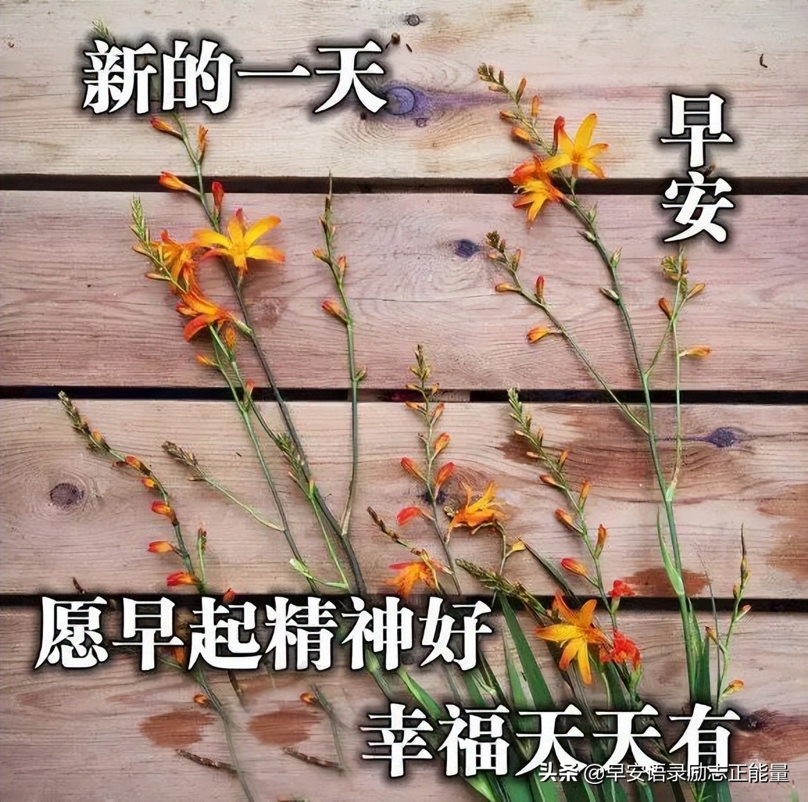 精选早安心语励志简短正能量句子（早安励志心语正能量满满）