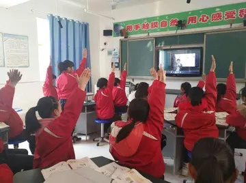 2022数字嘉年华小学数学国培心得体会范文（快乐学数学小学数学国培心得感悟范例）