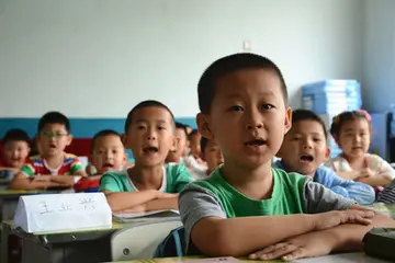 2022把课上活小学数学国培学习总结模板（把人育强小学数学国培研修总结范本）